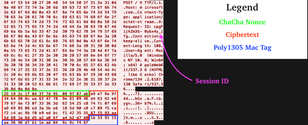 Figure 27 – Client ↔︎ C2 Data Exchange PCAP
