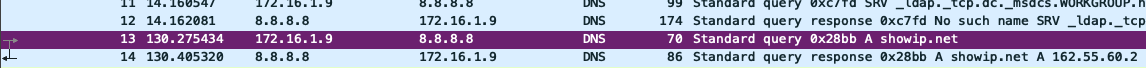 Get victim external IP via showip[.]net