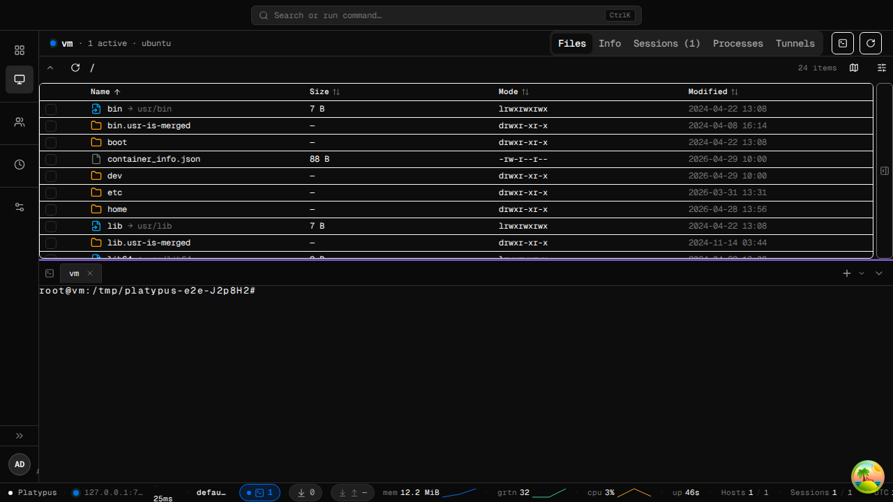 Figure 8 - File management and shell access via Platypus Web UI