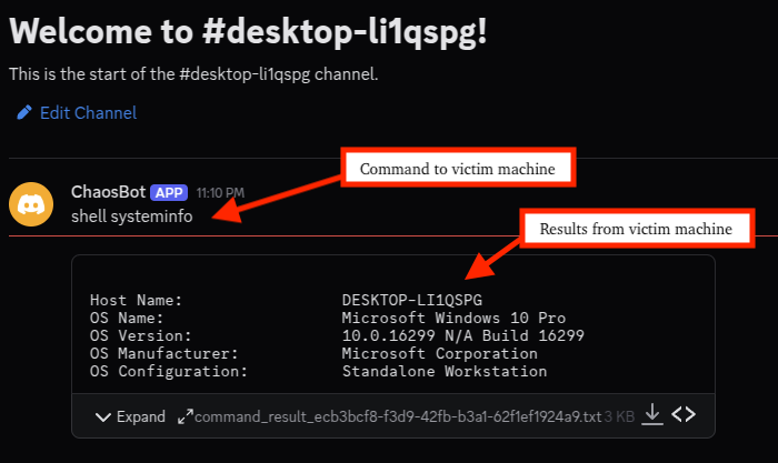 Threat actor perspective, shell command and result of systeminfo
