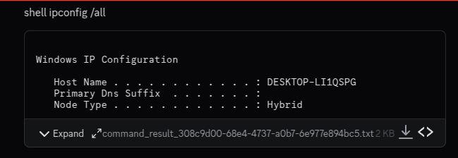 Threat actor perspective, shell command and result of ipconfig /all