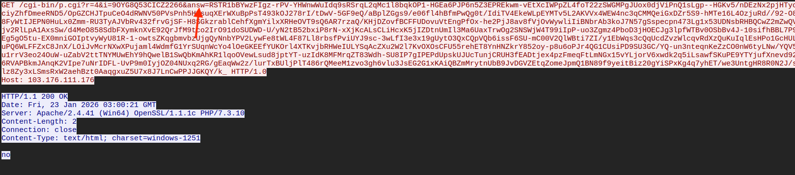 Figure 19 – Request to the C2 with 'answ' query parameter