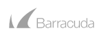 Barracuda logo