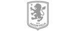 AVFC logo